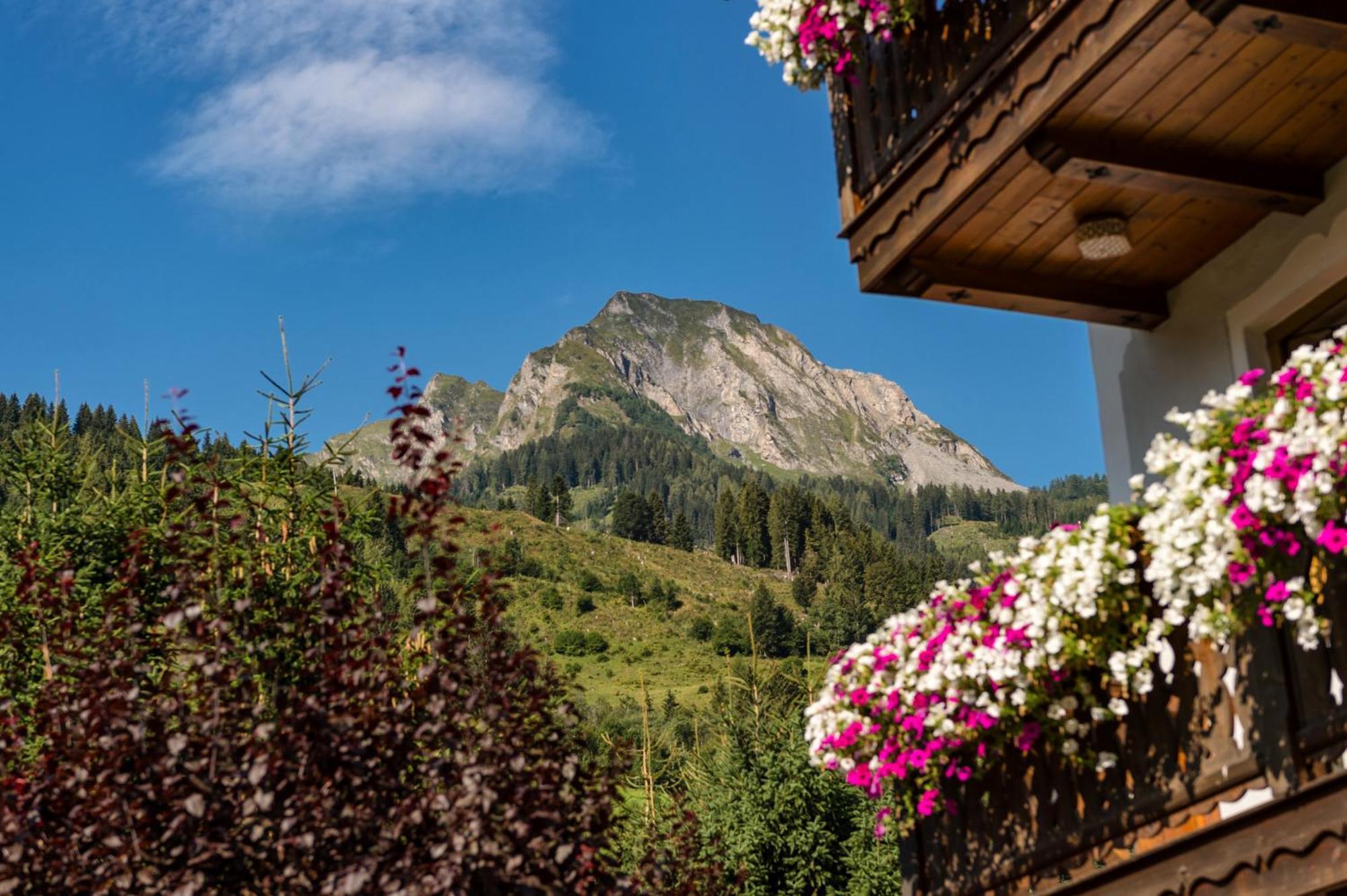 Bauernhofhotel "Die Unterbergerin" - Zimmer Mit Fruehstueck Und Ferienwohnungen In Gastein Mit Gratis Thermeneintritt Dorfgastein Exteriör bild