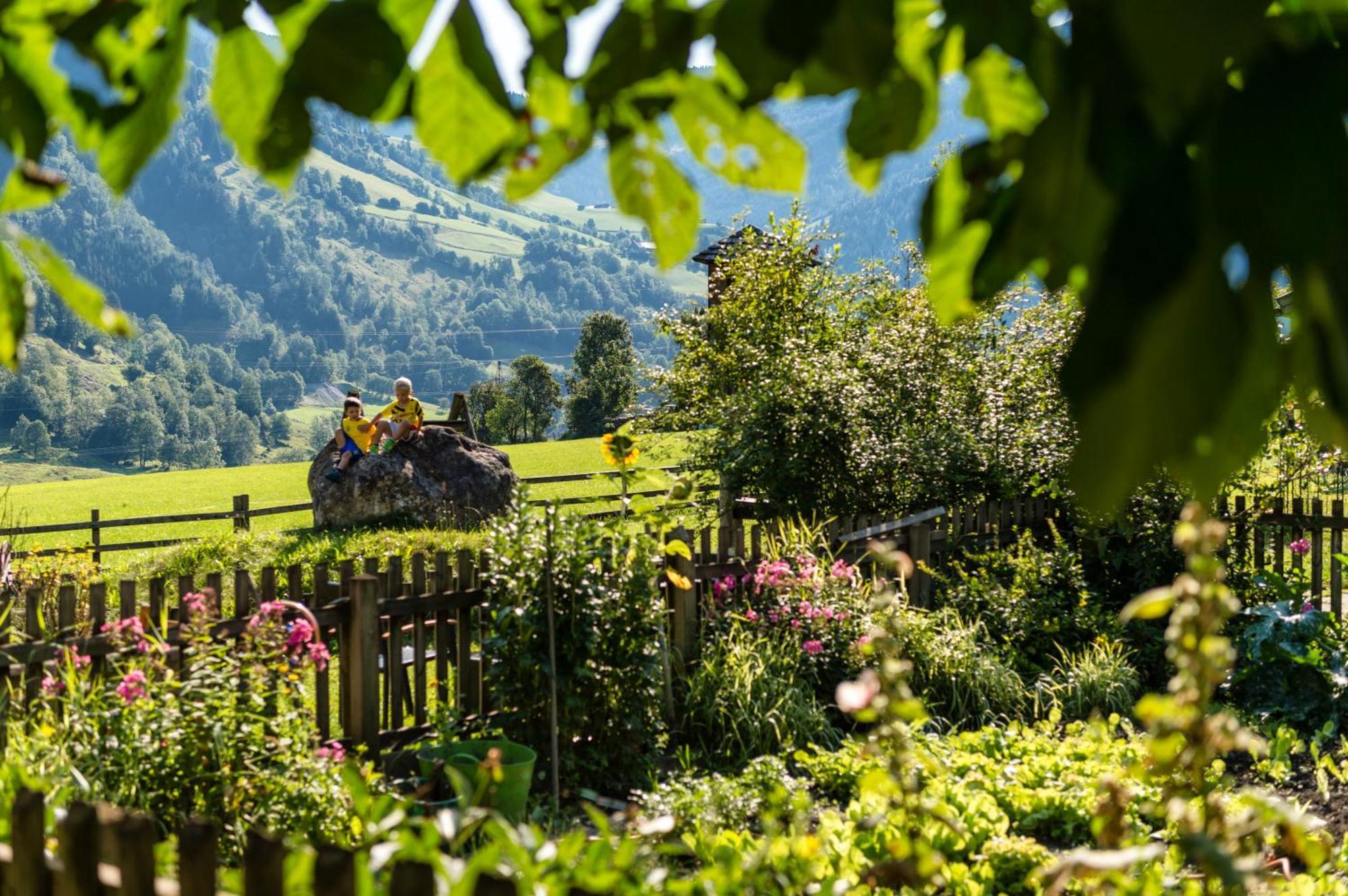 Bauernhofhotel "Die Unterbergerin" - Zimmer Mit Fruehstueck Und Ferienwohnungen In Gastein Mit Gratis Thermeneintritt Dorfgastein Exteriör bild