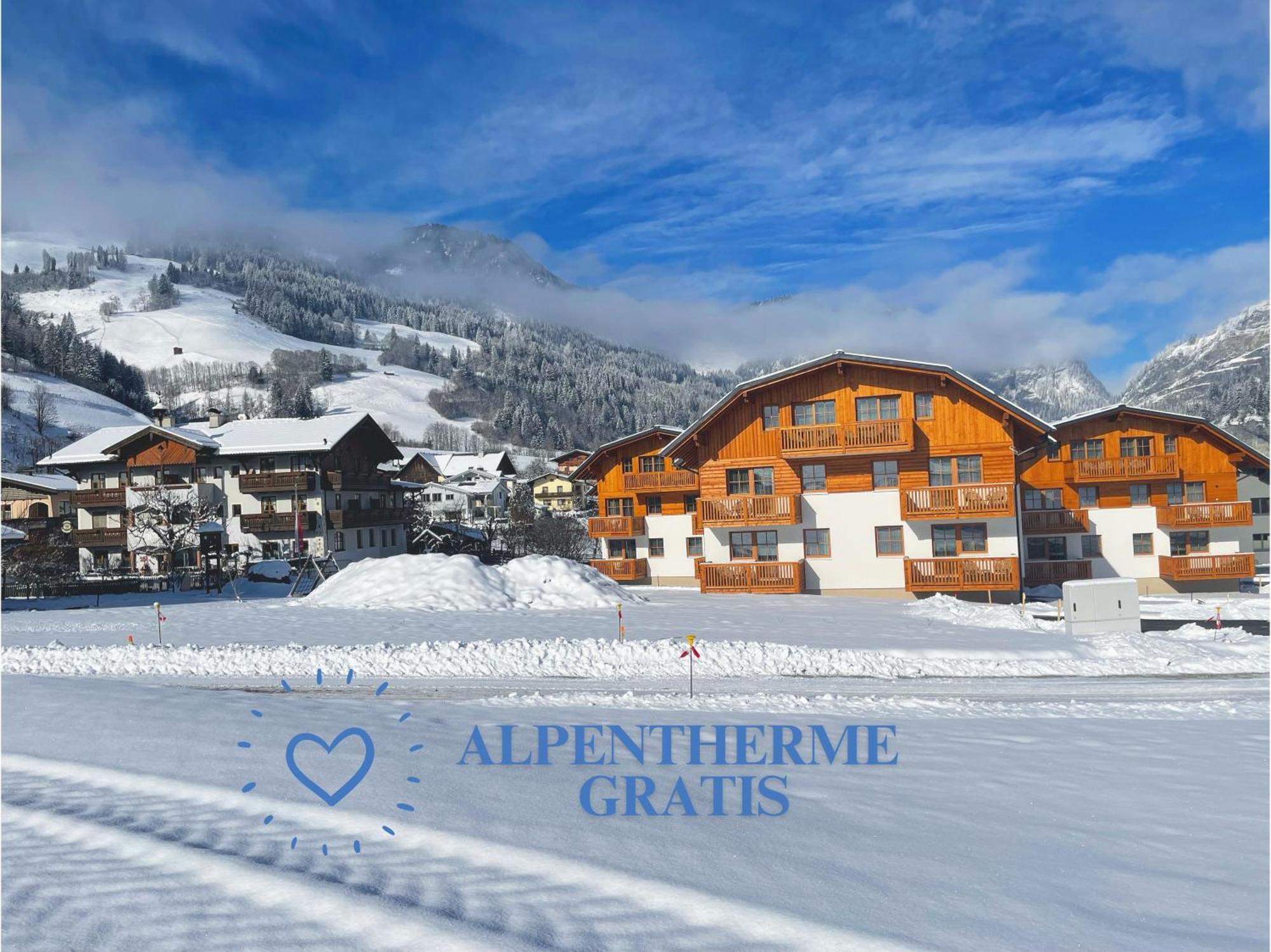 Bauernhofhotel "Die Unterbergerin" - Zimmer Mit Fruehstueck Und Ferienwohnungen In Gastein Mit Gratis Thermeneintritt Dorfgastein Exteriör bild