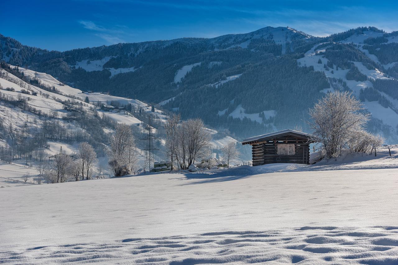 Bauernhofhotel "Die Unterbergerin" - Zimmer Mit Fruehstueck Und Ferienwohnungen In Gastein Mit Gratis Thermeneintritt Dorfgastein Exteriör bild