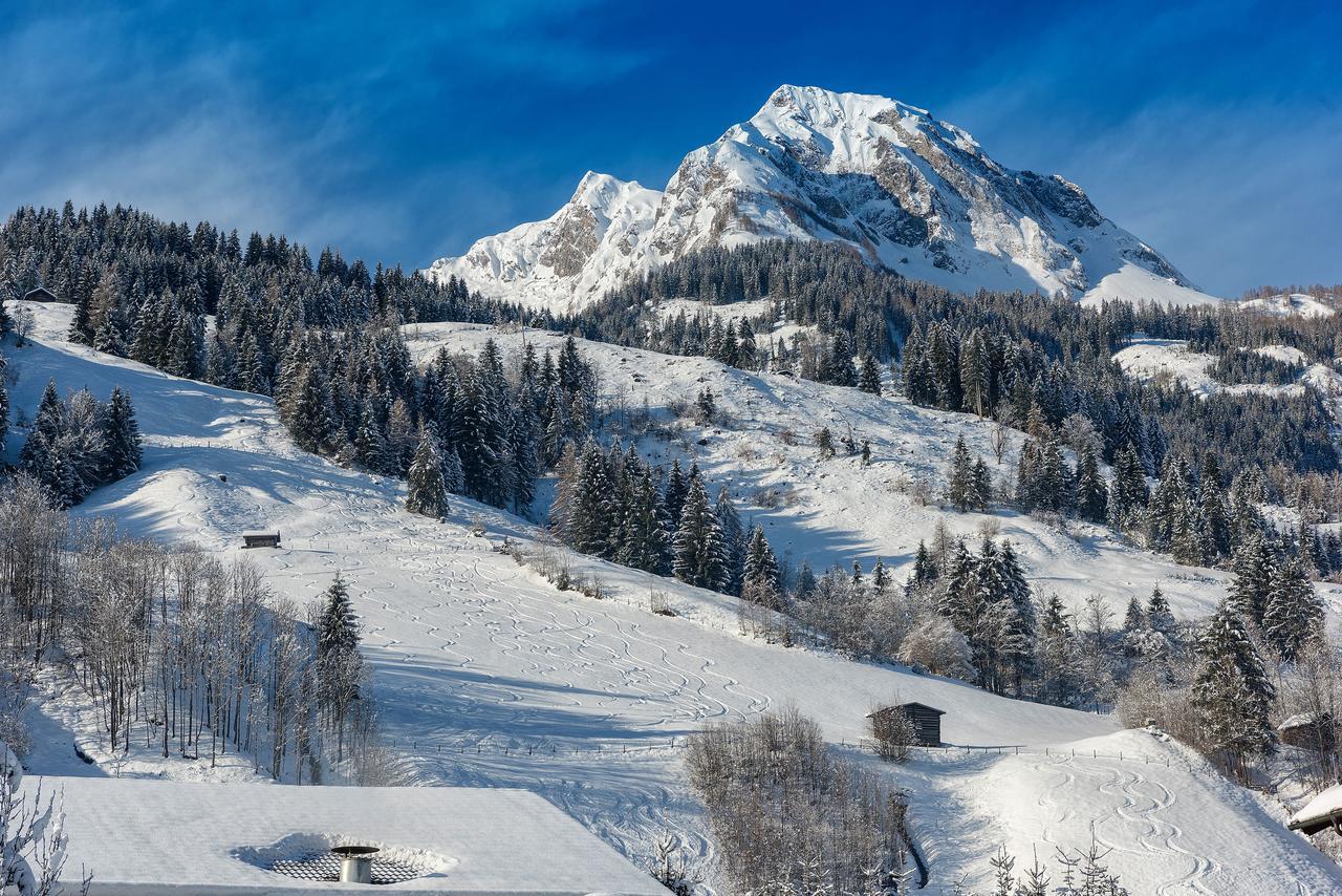 Bauernhofhotel "Die Unterbergerin" - Zimmer Mit Fruehstueck Und Ferienwohnungen In Gastein Mit Gratis Thermeneintritt Dorfgastein Exteriör bild