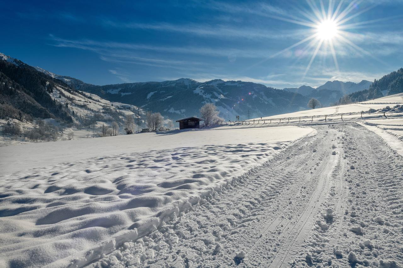 Bauernhofhotel "Die Unterbergerin" - Zimmer Mit Fruehstueck Und Ferienwohnungen In Gastein Mit Gratis Thermeneintritt Dorfgastein Exteriör bild